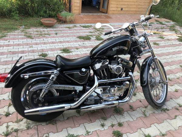 Harley sportster xl 1200 custom