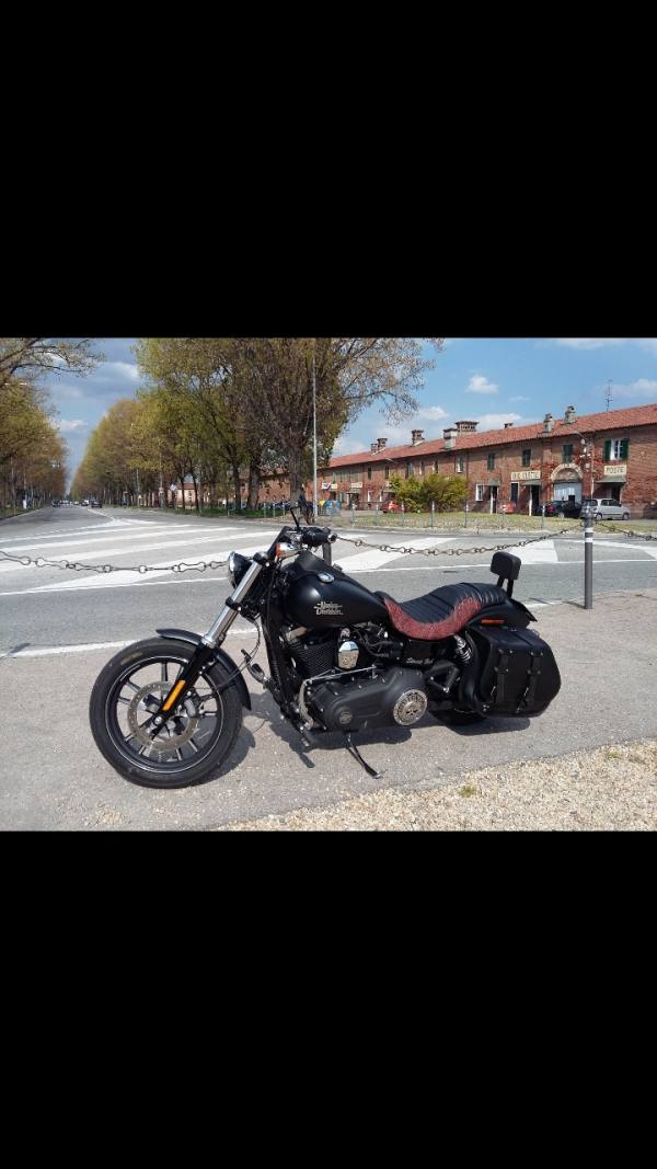 Schienalino Harley Davidson Dyna