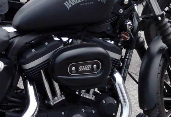 Cover Filtro Aria Sportster Harley Davidson 883